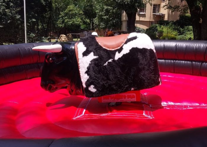 Rodeo Bull Hire